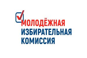 Информационное сообщение о приеме предложений по кандидатурам для назначения в состав Молодежной избирательной комиссии при Территориальной избирательной комиссии Шимского района состава 2023 – 2025 годов.