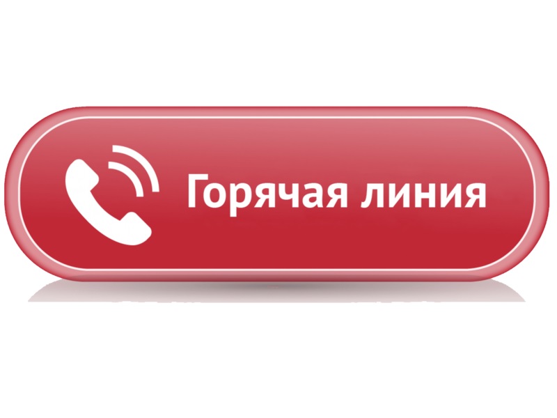 О проведении «Горячей линии» по вопросам детского отдыха,   качества и безопасности детских товаров.