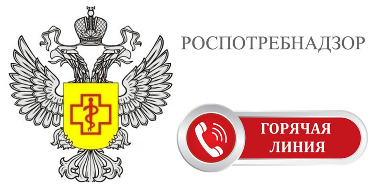 Ежегодно, начиная с 1992 года, на территории России 1 октября отмечается Международный день пожилого человека..