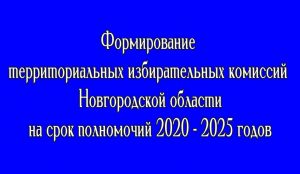 В Новгородской области началось формирование территориальных избирательных комиссий на срок полномочий 2020 – 2025 гг..