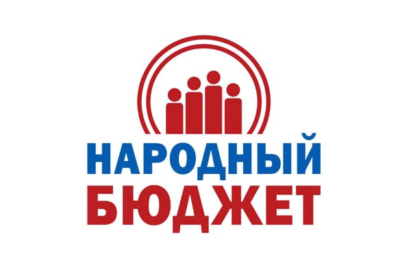 Практика инициативного бюджетирования «Народный бюджет».