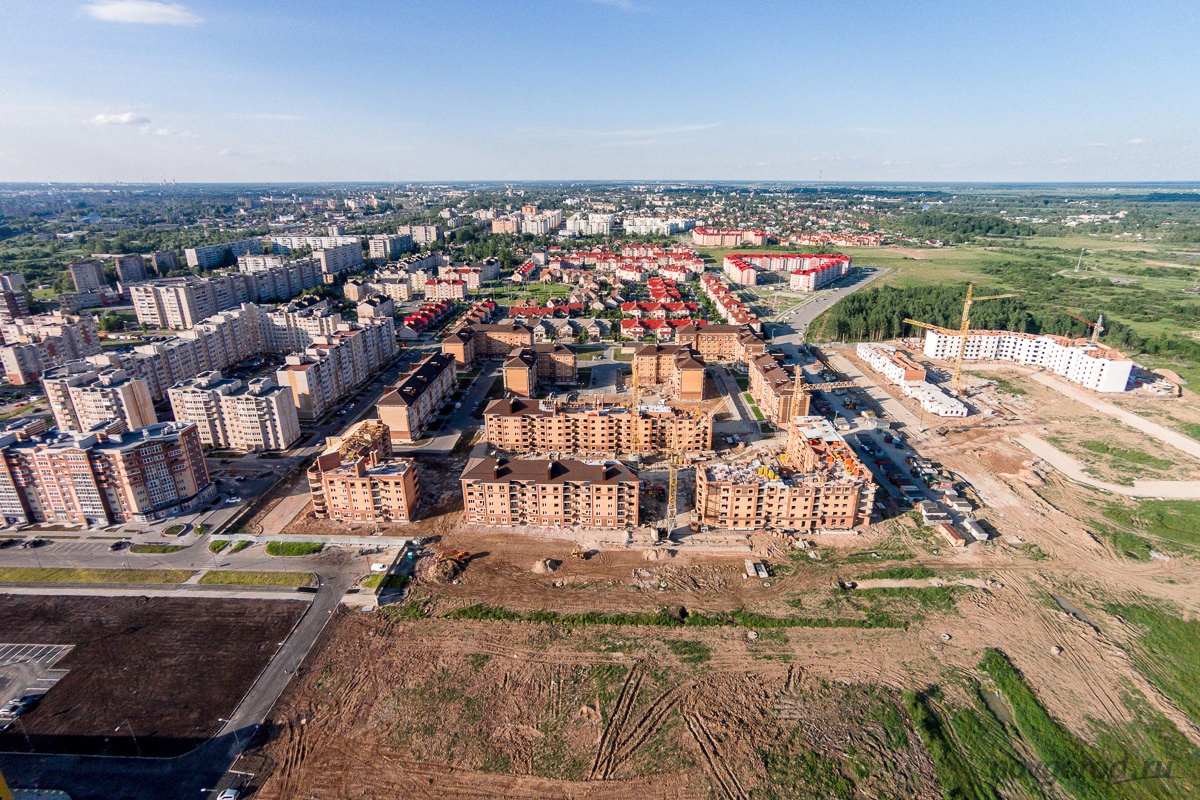 В рамках проектов Росреестра в Новгородской области к 2025 году выявлено более 1 тысячи гектаров для вовлечения в оборот.