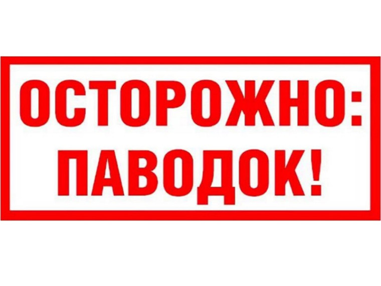 Памятка населению в период весеннего паводка. Памятка населению в период весеннего паводка.